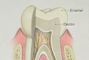 Bradford Family Dentistry Tooth Enamel
