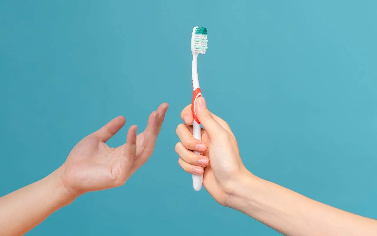 How To Properly Clean Your Toothbrush Bradford Family Dentistry