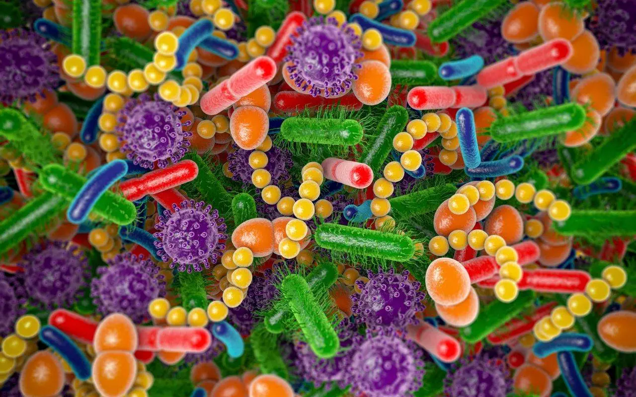 A close up of a group of bacteria - how-does-the-oral-cavity-contribute-to-health-connection-between-oral-health-and-the-immune-system