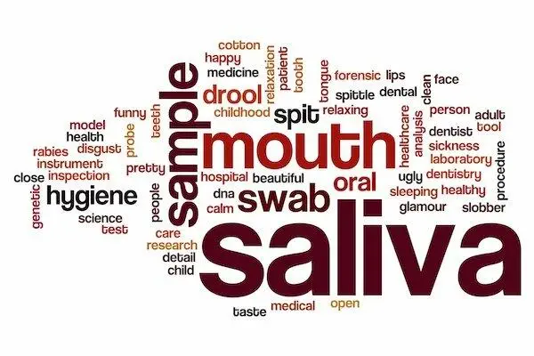 5 letter word with the letters saliva